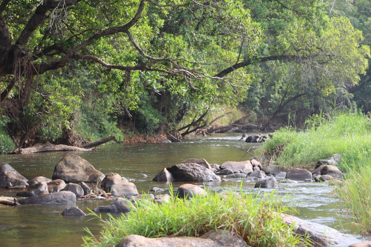 Lions Rock Rapids - Lodge Hazyview Buitenkant foto