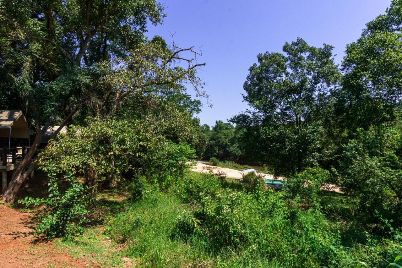 Lions Rock Rapids - Lodge Hazyview Buitenkant foto
